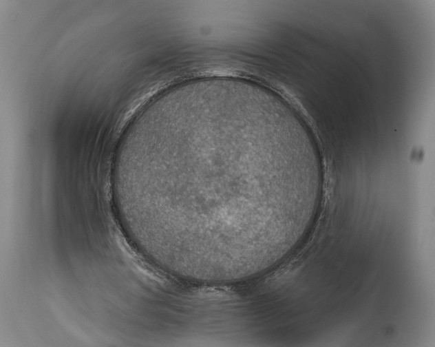 X0000115070386200911171135