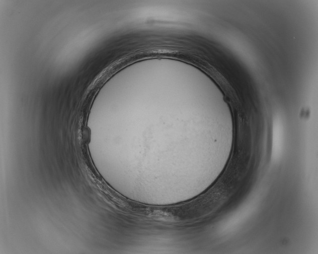 X0000115070387200911171135