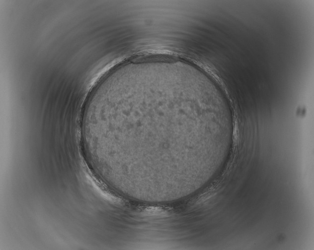 X0000115070390200911171135