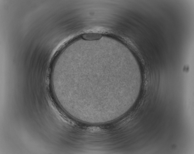 X0000115070392200911171135