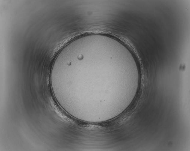 X0000115070393200911171135