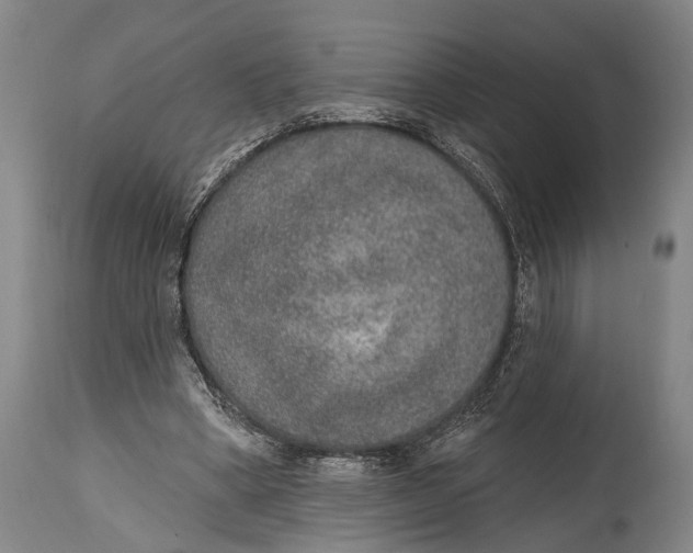 X0000115070394200911171135