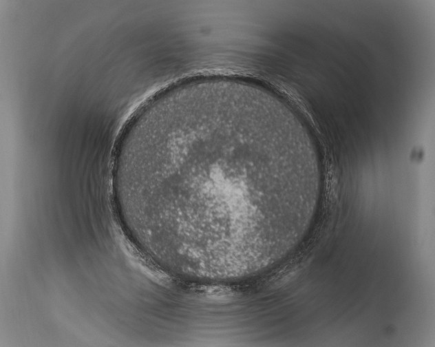 X0000115070395200911171135