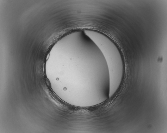 X0000115070397200911171135