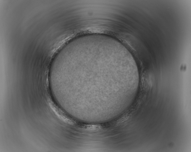 X0000115070398200911171135