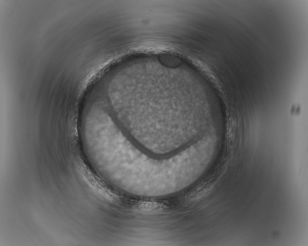 X0000115070399200911171135