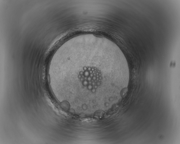 X0000115070400200911171135