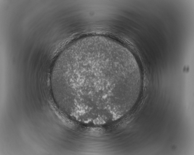 X0000115070401200911171135