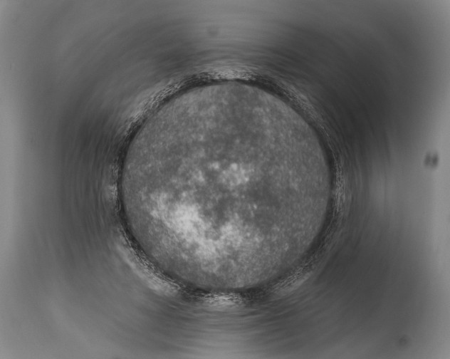 X0000115070402200911171135