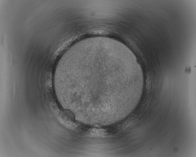 X0000115070403200911171135
