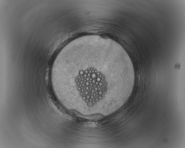 X0000115070404200911171135