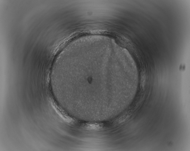 X0000115070405200911171135