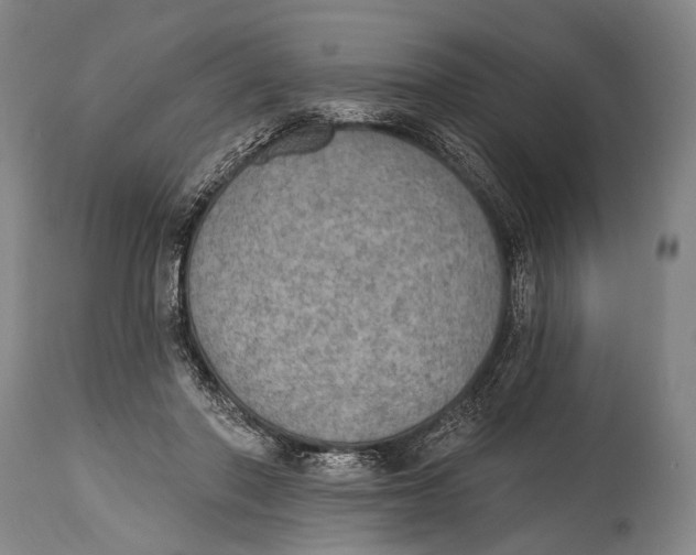 X0000115070406200911171135