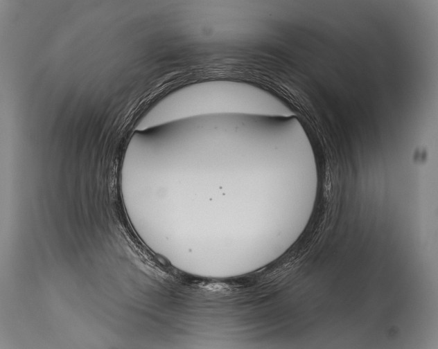 X0000115070409200911171135