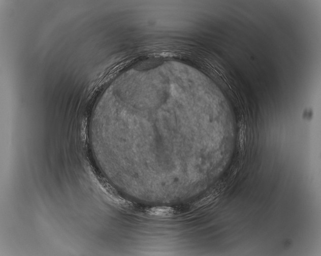 X0000115070410200911171135