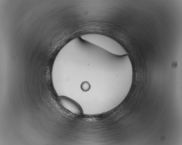 X0000115070411200911171134