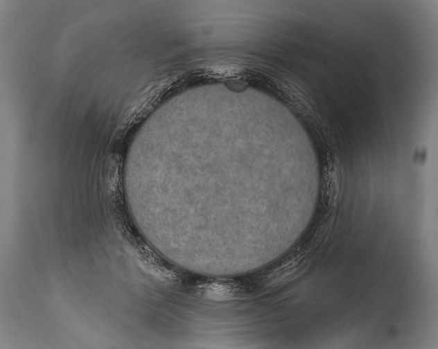 X0000115070412200911171134