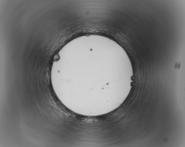 X0000115070415200911171134