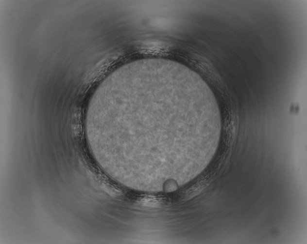 X0000115070416200911171134