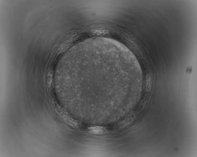 X0000115070417200911171134
