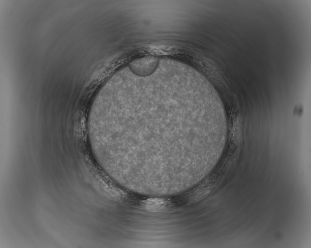 X0000115070418200911171134