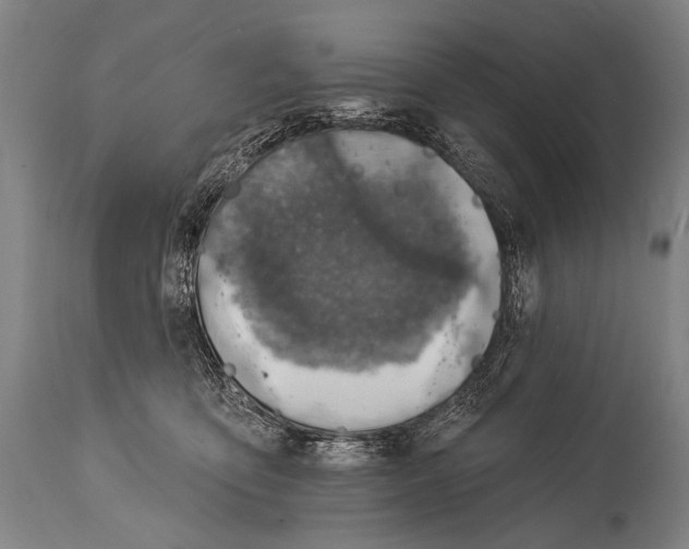 X0000115070419200911171134