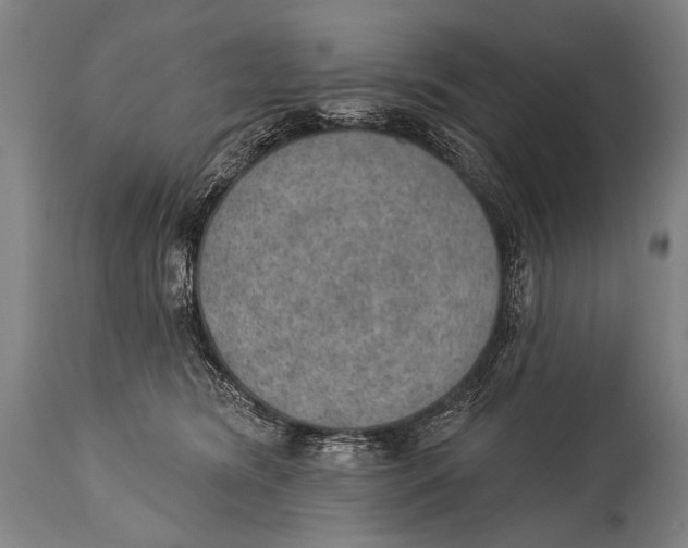 X0000115070420200911171134