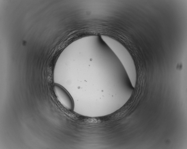 X0000115070421200911171134