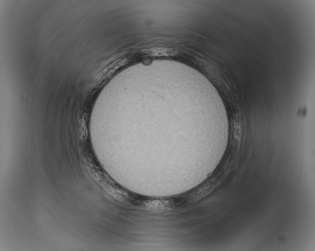 X0000115070422200911171134