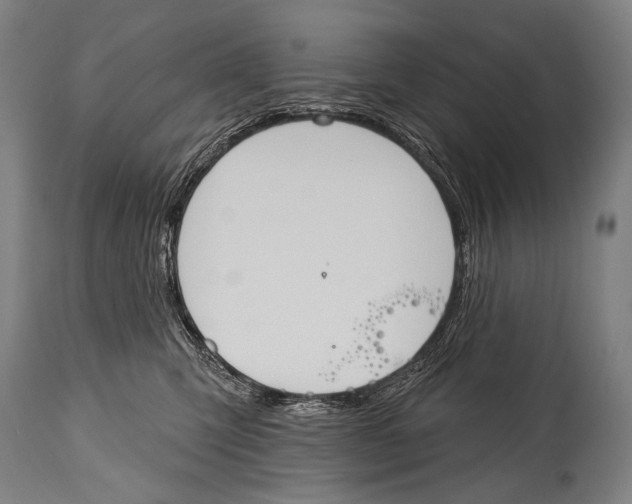 X0000115070423200911171134