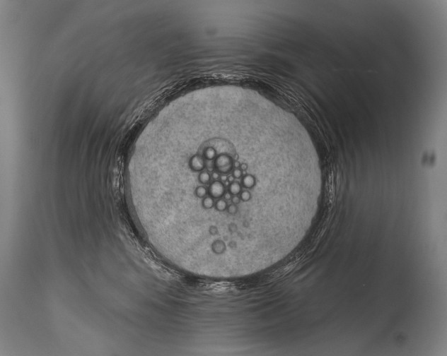 X0000115070424200911171134