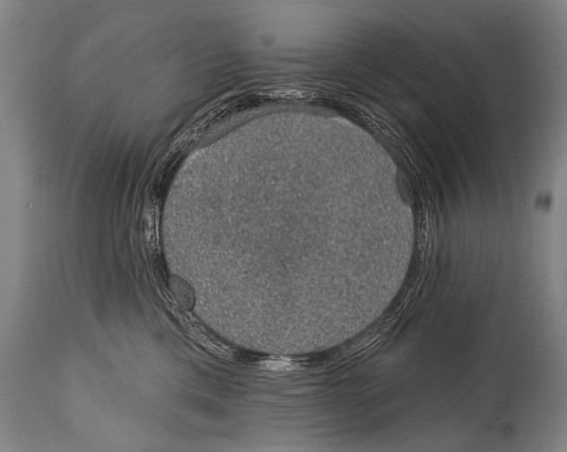 X0000115070425200911171134