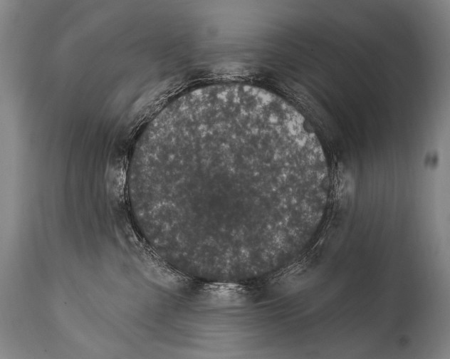 X0000115070427200911171134
