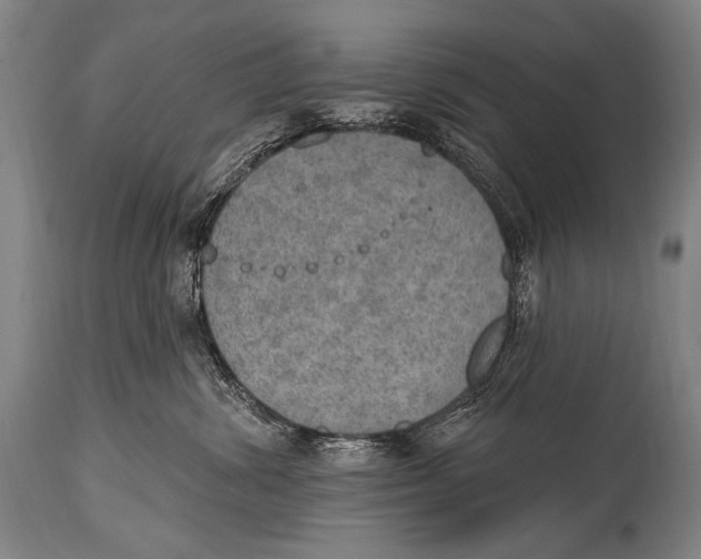 X0000115070428200911171134