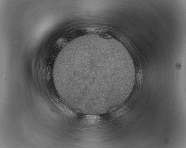 X0000115070429200911171134