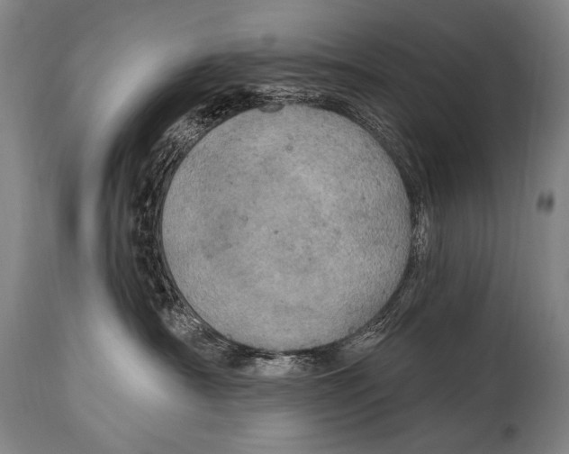 X0000115070430200911171134