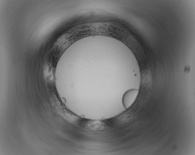 X0000115070431200911171134