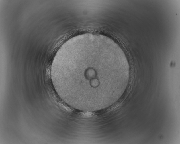 X0000115070432200911171134