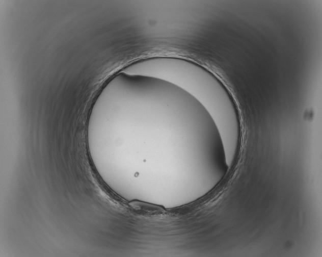 X0000115070433200911171133