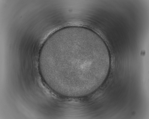 X0000115070434200911171133