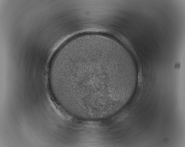 X0000115070436200911171133