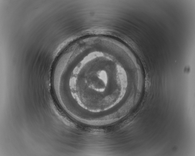 X0000115070438200911171133