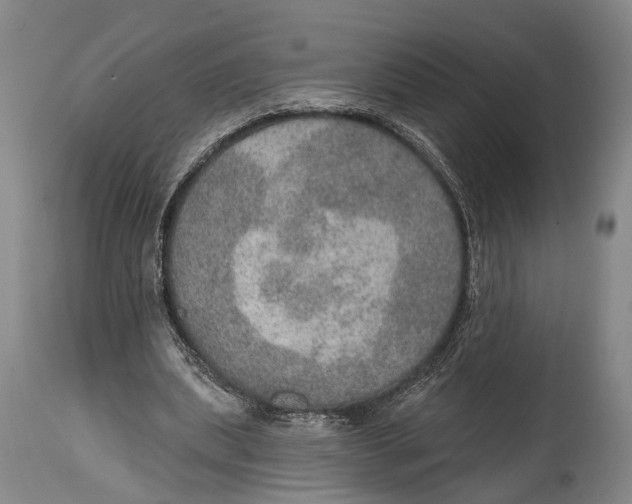 X0000115070439200911171133