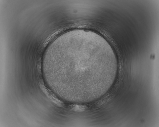 X0000115070442200911171133