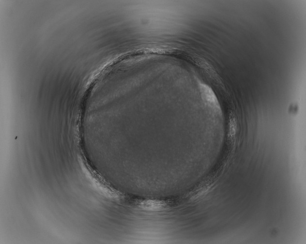 X0000115070444200911171134