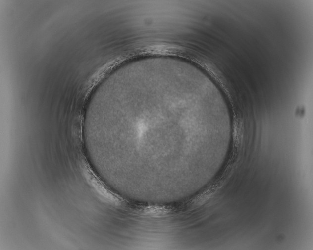 X0000115070445200911171134