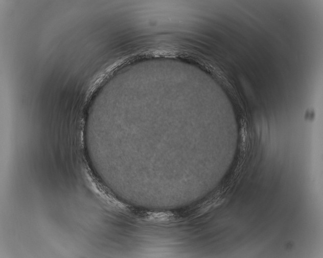X0000115070446200911171134