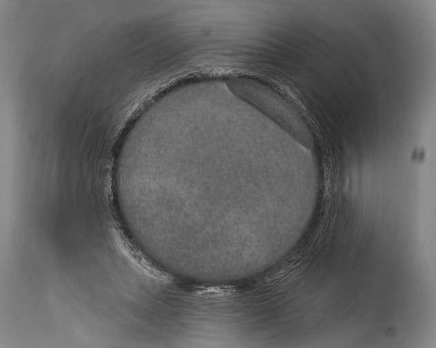 X0000115070447200911171134