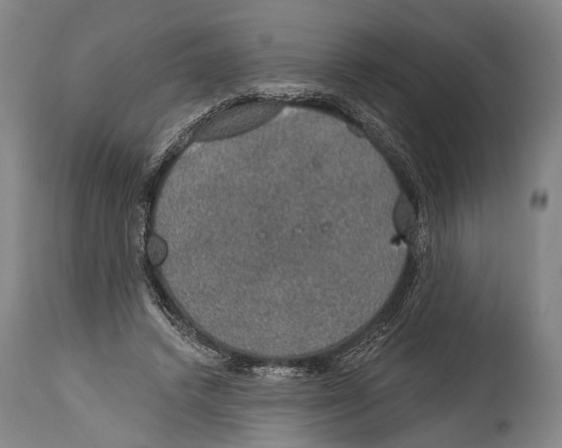 X0000115070448200911171134