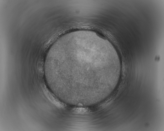 X0000115070449200911171134